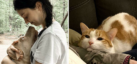 Sahiplerine Adeta Aşık Olduklarını Bakışlarıyla Gösteren 25 Hayvan