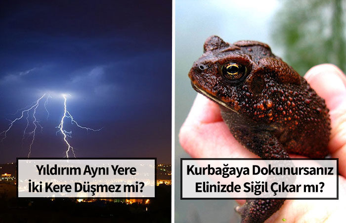 Pek Çok İnsanın İnandığı, Ancak Doğru Olmayan 12 Yanlış Bilgi